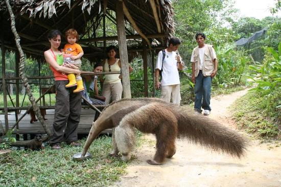 naturaleza-animales-flora