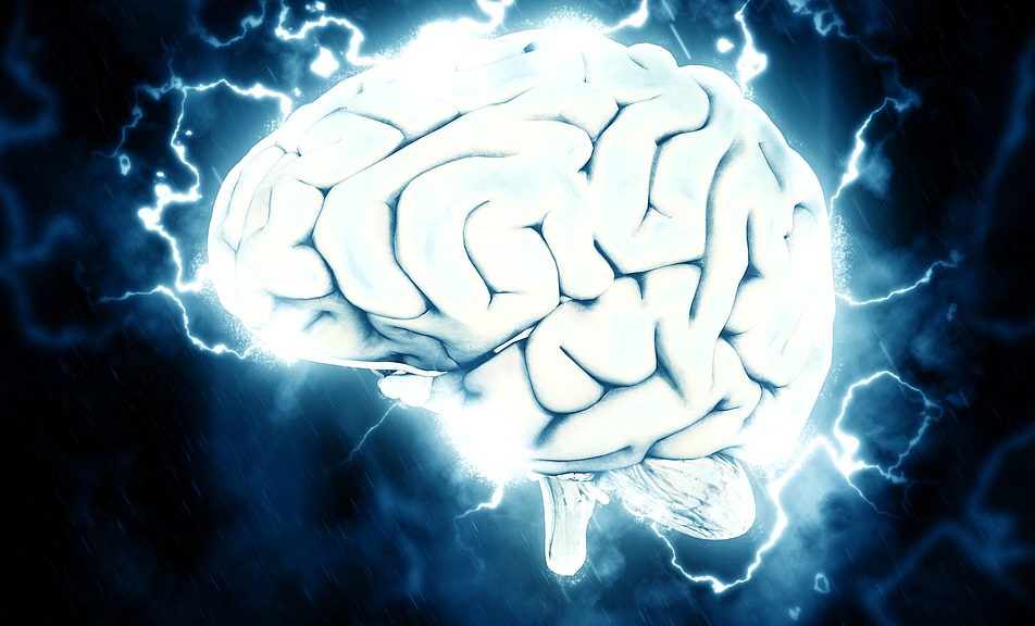 brain-1845962_960_720