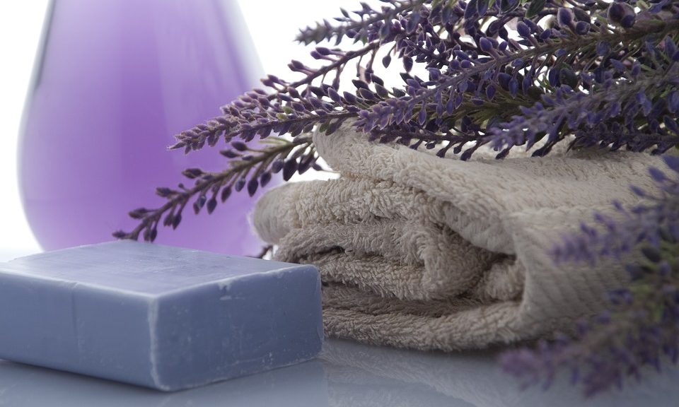 lavender-3066531_960_720